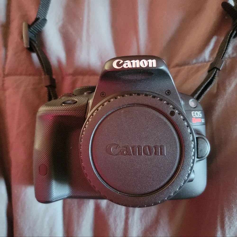 Canon Camera